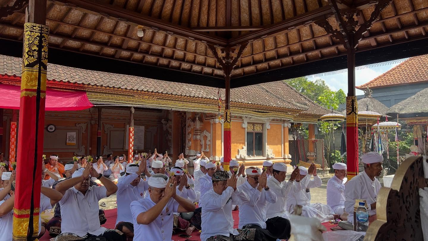PURA1.jpg