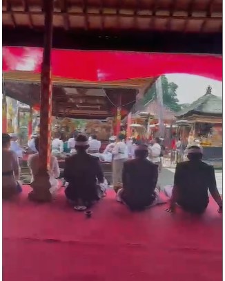 PURA2.jpg